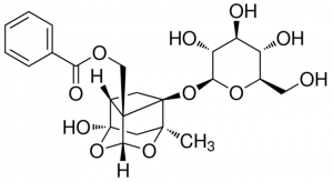 Paeoniflorin P0038-25MG