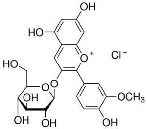 Peonidin 3-O-glucoside chloride 40796-1MG