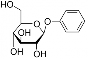Phenyl -D-glucopyranoside 