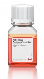 Accutase solution 