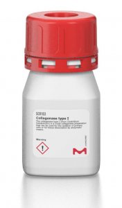 Collagenase type I SCR103
