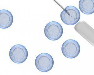 EmbryoMax 2X Freezing Medium for ES Cells, formulated with 20% DMSO & Fetal Bovine Serum 