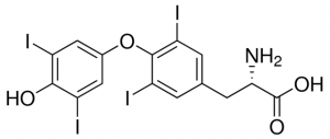 L-Thyroxine 