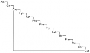 Somatostatin 
