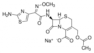 Cefotaxime sodium salt 