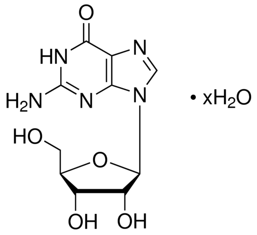 Guanosine 