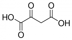 Oxaloacetic acid 
