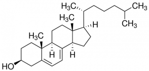 7-Dehydrocholesterol 