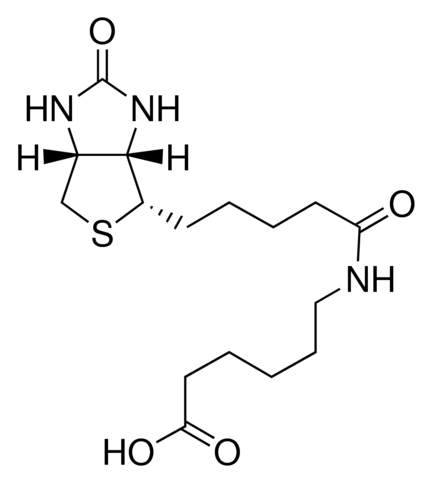 N-(+)-Biotinyl-6-aminohexanoic acid 