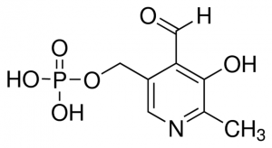 Pyridoxal 5-phosphate hydrate 