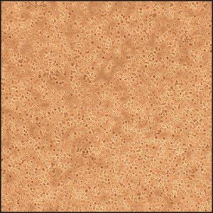 Human Mononuclear Cells: HMNC, adult 690PB-100A