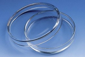 BRAND Petri dish, glass BR455717-10EA