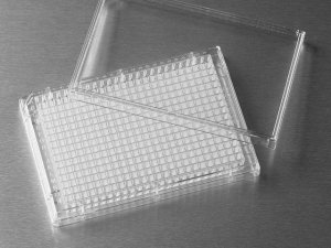 Corning 384 well microplate 