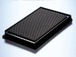 Corning 384 well microplate, low volume CLS3643-50EA