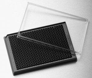 Corning 384 well plates CLS4583-10EA