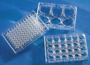 Corning 96 Well TC-Treated Microplates CLS3599-100EA