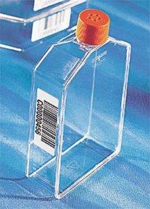 Corning cell culture flasks CLS431306-84EA