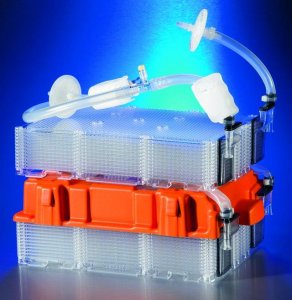 Corning CellBIND HYPERStack cell culture vessels CLS10036-2EA