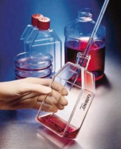 Corning CellBIND Surface cell culture flasks CLS3289-200EA