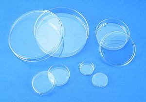 Corning CellBIND surface culture dishes CLS3294-210EA