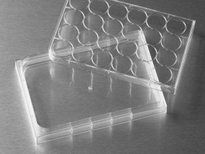 Corning Costar HTS Transwell cell culture plates CLS4395-48EA
