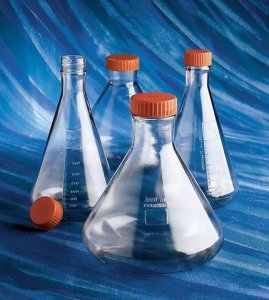 Corning Erlenmeyer cell culture flasks CLS431284-4EA
