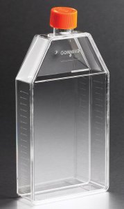Corning flask, canted neck, 150 cm, vented CLS431465-50EA