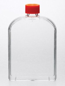 Corning flask, canted neck, 175 cm, vented CLS431466-50EA