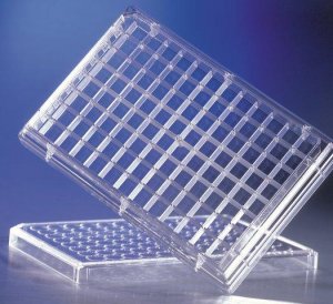 Corning HTS Transwell 96 well permeable support system, accessory plates CLS3583-10EA