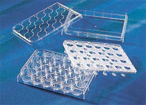 Corning HTS Transwell-24 well permeable supports CLS3379-2EA