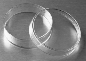 Corning non-treated culture dishes CLS430589-500EA