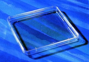 Corning square bioassay dishes CLS431272-16EA