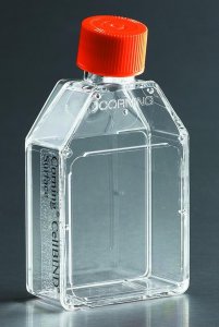 Corning Synthemax-R surface cell culture flasks CLS3983XX1-2EA