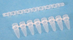 Corning Thermowell GOLD PCR 8 well tube strips CLS3740-1250EA