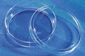 Corning Ultra-low attachment culture dishes CLS3261-20EA