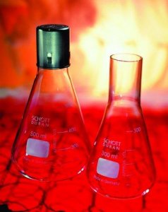 DURAN culture flask, Erlenmeyer Z620084-10EA
