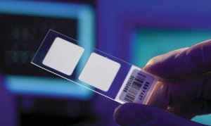 FAST slides for protein microarrays Z721123-10EA