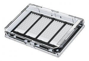 Grace Bio-Labs CultureWell coverglass inserts, with 4 chambered coverglasses GBL103450-10EA