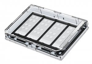 Grace Bio-Labs CultureWell coverglass inserts, with 4 chambered coverglasses GBL103480-10EA