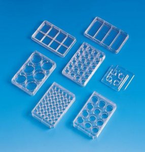 Nunclon Multidishes Z687162-100EA