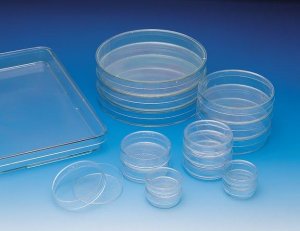 Nunclon cell culture dishes TMO157150