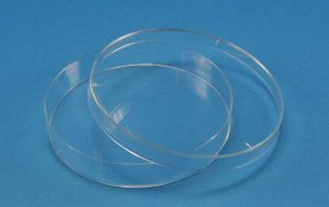 Nunc petri dishes Z717223-320EA