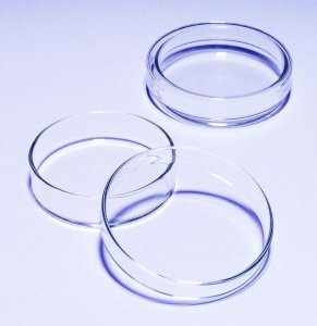 Pyrex Petri dish SLW1480/12D-10EA