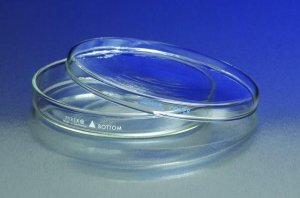 Pyrex petri dishes CLS3160150BO-12EA