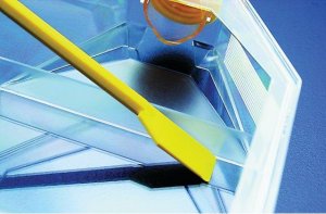 TPP cell culture spatula Z707643-150EA
