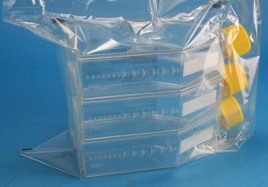 TPP tissue culture flasks Z707562-18EA