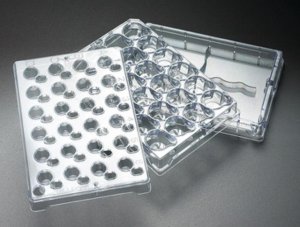 Millicell-24 Cell Culture Insert Plate, polycarbonate, 0.4 m PSHT010R5