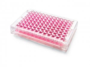 Millicell-96 Cell Culture Insert Plate 