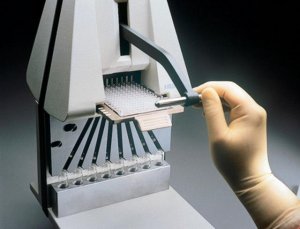 MultiScreen Carrier Rack for 7 mL vials 