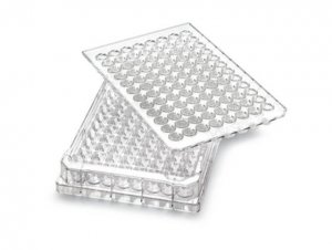 MultiScreen Permeability Filter Plate, 0.4 m, non-sterile MPC4NTR10